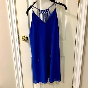 Naked Zebra royal blue